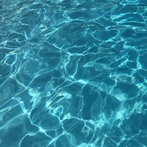 Meet your Posher, Abgail